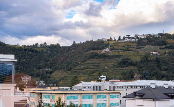 BEATRICECALLIGIONEIMMOBILIAREWEB_13