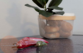 BEATRICECALLIGIONEIMMOBILIAREWEB_18