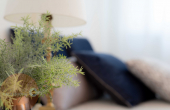 BEATRICECALLIGIONEIMMOBILIAREWEB_21