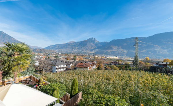 IMMOBILIARE_MERANO-31