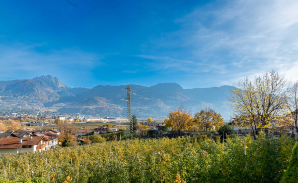 IMMOBILIARE_MERANO-4