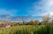 IMMOBILIARE_MERANO-4